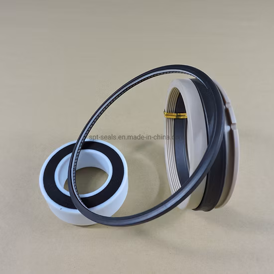 해양에 사용되는 SS304 PTFE 맞춤형 스프링 에너자이징 씰